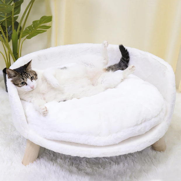 Raised Pet Bed, Removable Cushion