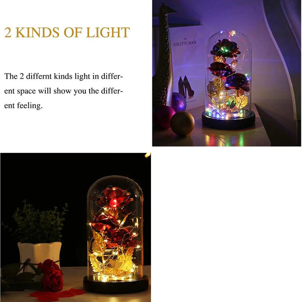 Galaxy Rose Eternal Gold Foil Artificial Flowers In Glass Dome with LED Light