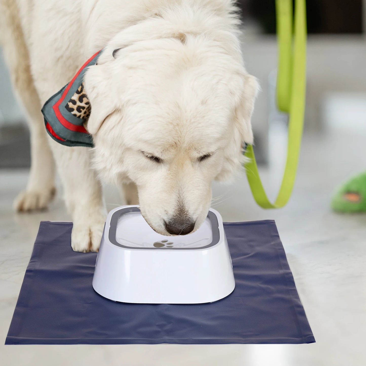 No Spill Dog Water Bowl