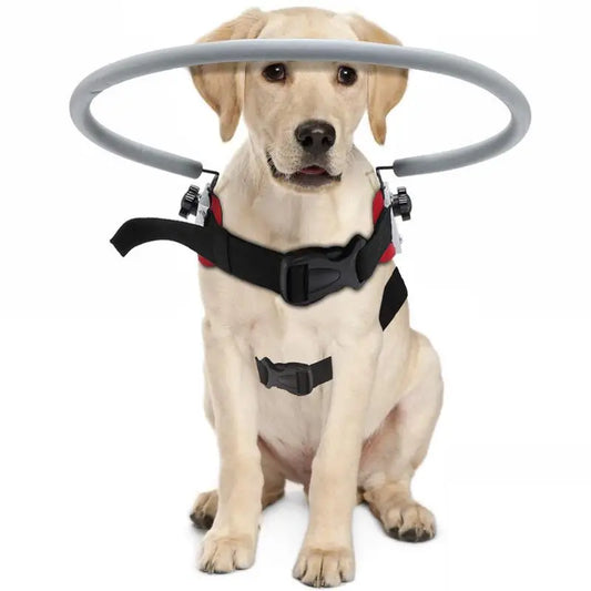 Blind Dog Harness Guiding Device