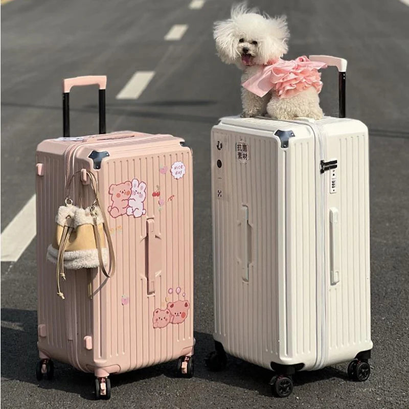 Unisex Rolling Luggage Cabin Holiday Suitcase Sets Couples Travel Anti-Fall Password Package Outing Carry on Luggage with Wheels