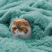 Faux Fur Throw
