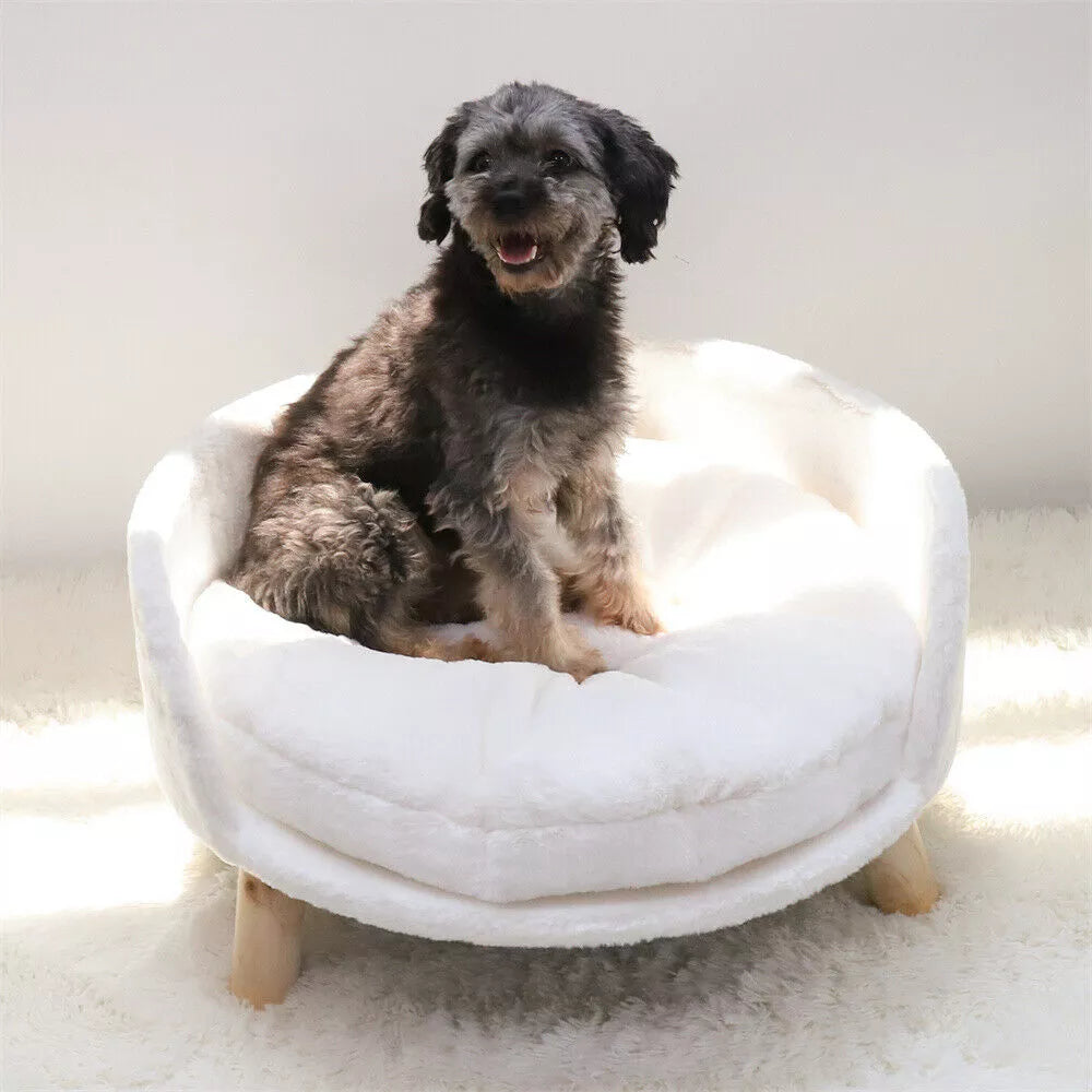 Raised Pet Bed, Removable Cushion